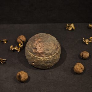 meteoras pilka-aukas-bronza
