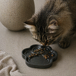 indelis letena B pagrindine